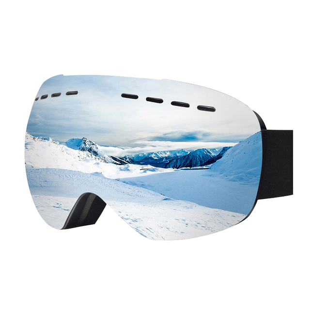 Ski Goggles